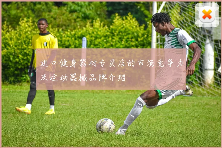 进口健身器材专卖店的市场竞争力及运动器械品牌介绍